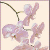 Схема для вышивки "Орхидея"